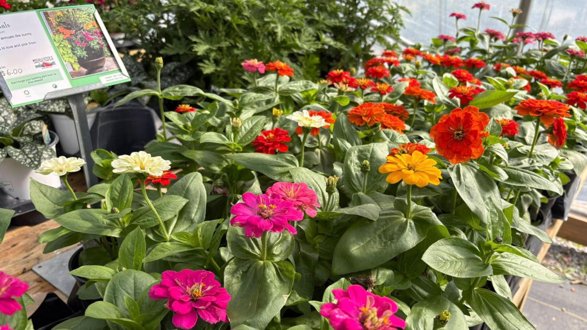 McCallister’s Landscape Supply &amp; Garden Center