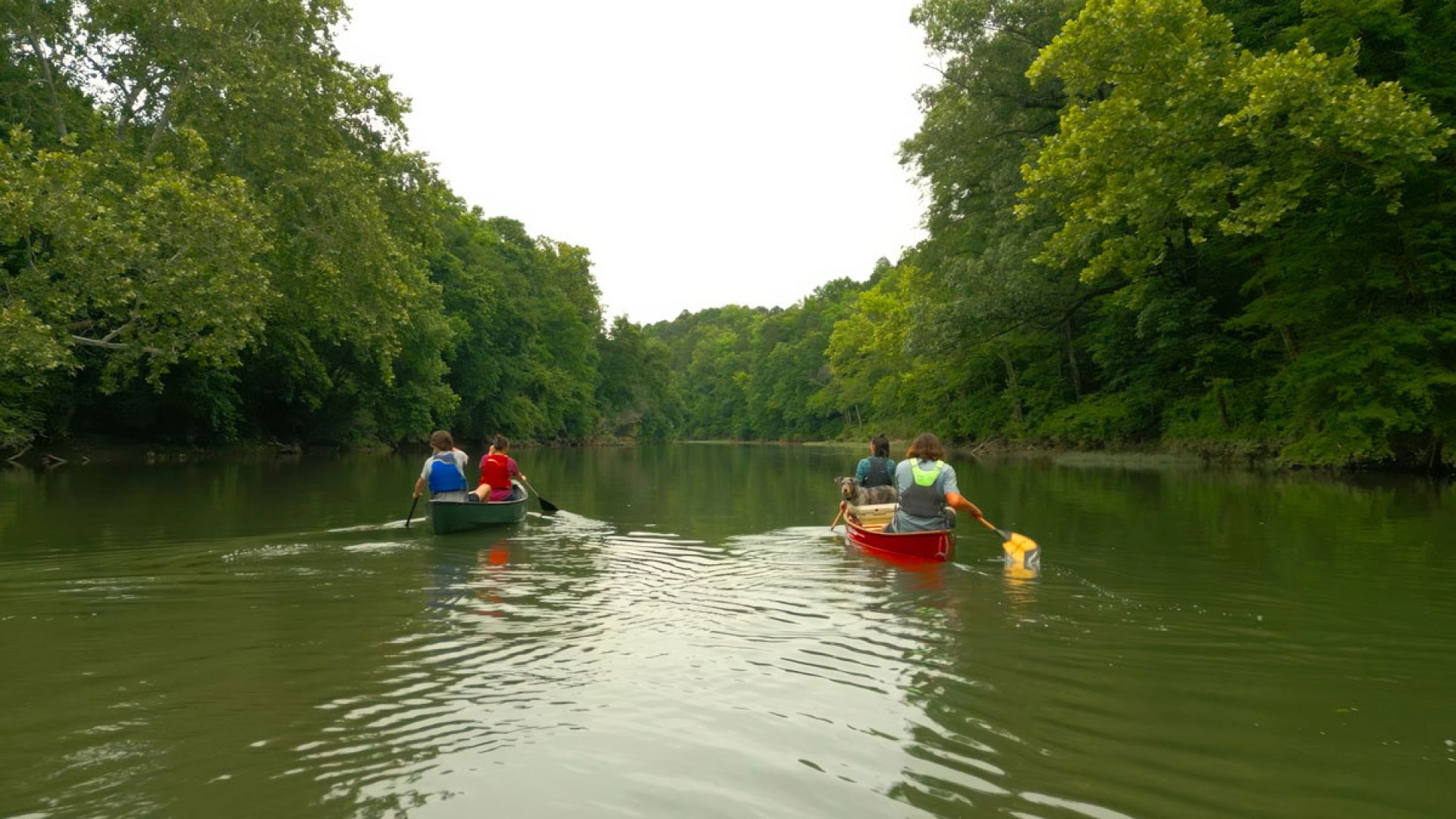 group of people canoeing on the Saline River in Benton, Arkansas