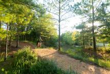 Benton-Bike-Park-5